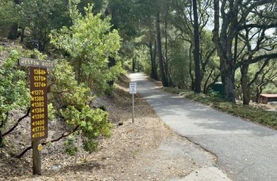 Close to build-ready 5.9 acres with ocean views! Skip the long - photo 3