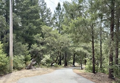 Close to build-ready 5.9 acres with ocean views! Skip the long - photo 4