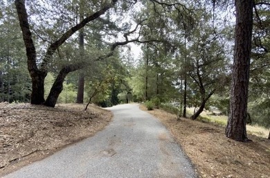 Close to build-ready 5.9 acres with ocean views! Skip the long - photo 5