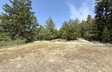 Close to build-ready 5.9 acres with ocean views! Skip the long - photo 10