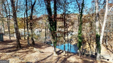 Lake Lot For Sale in Gainesville, Georgia