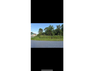 WAITING FOR YOUR PERSONAL VISION, THIS CORNER LOT IS GREAT FOR - photo 5