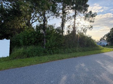 WAITING FOR YOUR PERSONAL VISION, THIS CORNER LOT IS GREAT FOR - photo 7