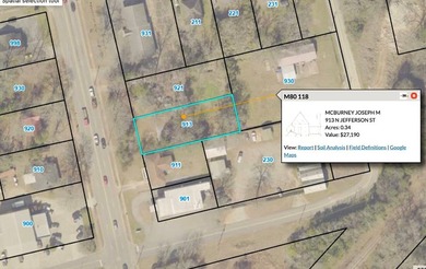 Property consists of 2 lots totaling .68 acres on N Jefferson St - photo 2