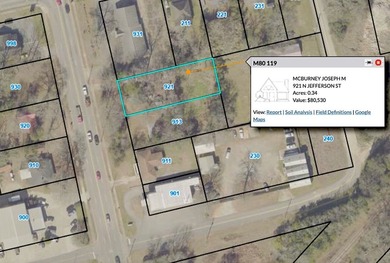 Property consists of 2 lots totaling .68 acres on N Jefferson St - photo 3