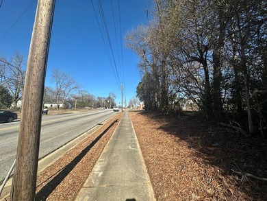 Property consists of 2 lots totaling .68 acres on N Jefferson St - photo 4
