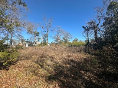 Property consists of 2 lots totaling .68 acres on N Jefferson St - photo 6