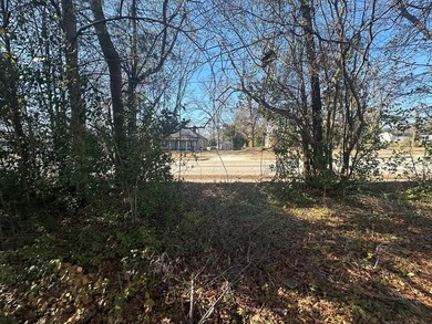 Property consists of 2 lots totaling .68 acres on N Jefferson St - photo 7