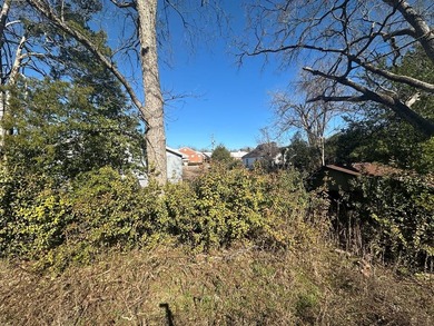 Property consists of 2 lots totaling .68 acres on N Jefferson St - photo 8