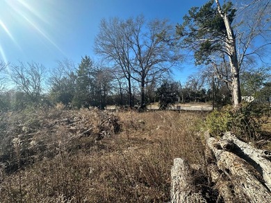 Property consists of 2 lots totaling .68 acres on N Jefferson St - photo 9