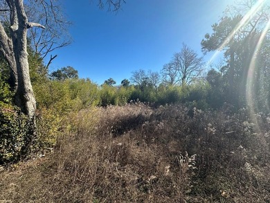 Property consists of 2 lots totaling .68 acres on N Jefferson St - photo 10