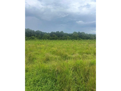 (private lake, pond, coastal) Acreage For Sale in Ranger Georgia