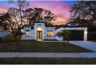 (private lake, pond, creek) Home For Sale in Clearwater Florida