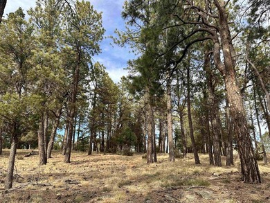 Discover the perfect blend of beauty and value in Divide Ranch - photo 11