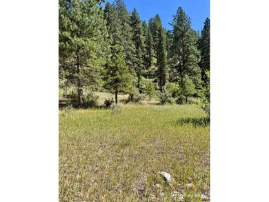 Payette River Lot For Sale in Garden Valley Idaho