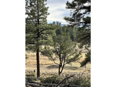Discover the perfect blend of beauty and value in Divide Ranch - photo 12