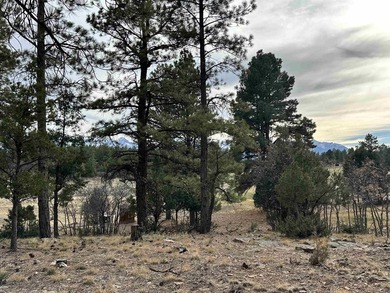 Discover the perfect blend of beauty and value in Divide Ranch - photo 13