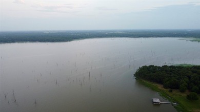 Some lakefront properties give you a view. Others offer a - photo 14