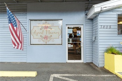 Prime multi-tenant commercial opportunity located in the heart - photo 5