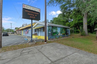 Prime multi-tenant commercial opportunity located in the heart - photo 7