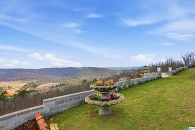 Exquisite Hayden Home in Smokerise with breathtaking panoramic - photo 49