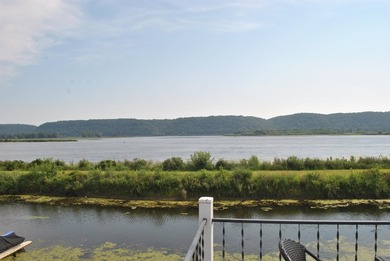 Mississippi River Waterfront on Abel Island! Experience the best - photo 3