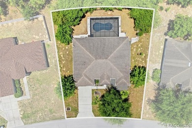 Beautifully updated, this 4-bedroom plus office pool home is - photo 4