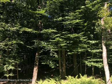 Lake Lot For Sale in Clifton Twp, Pennsylvania