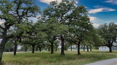 (private lake, pond, creek) Acreage For Sale in Weatherford Texas