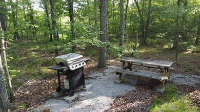 Lake Life Anyone?! OWNER FINANCING AVAILABLE! Here's your chance - photo 11