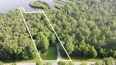 Lake Life Anyone?! OWNER FINANCING AVAILABLE! Here's your chance - photo 14