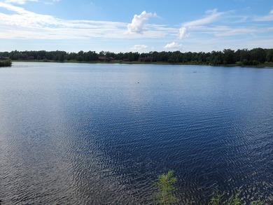 Lake Life Anyone?! OWNER FINANCING AVAILABLE! Here's your chance - photo 15
