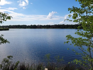 Lake Life Anyone?! OWNER FINANCING AVAILABLE! Here's your chance - photo 16
