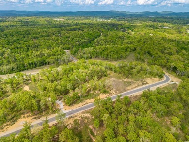 Exceptional 5 acre homesite in Rocky Point Estates, a new - photo 17
