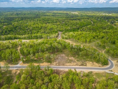 Exceptional 5 acre homesite in Rocky Point Estates, a new - photo 18
