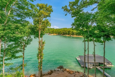Perched along the shores of Norris Lake, this beautifully - photo 45