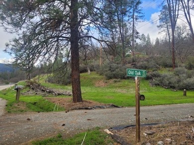 Trinity Lake / Clair Engle Lake Lot For Sale in Lewiston California