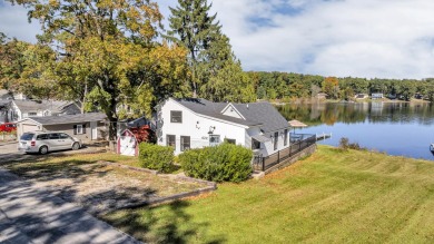 Swains Lake Home For Sale in Concord Michigan