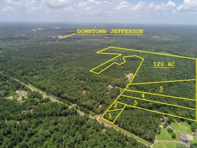 Cypress River - Harrison County Acreage For Sale in Jefferson Texas