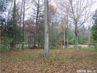 Enjoy more than 300 feet of beautiful Chaumont River, with woods - Lake Lot For Sale in Lyme, New York