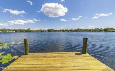 Violet Lake! Enjoy affordable waterfront living on one of North - photo 1