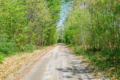 Opportunities abound with this lovely 15.8-acre parcel with over - photo 12