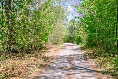 Opportunities abound with this lovely 15.8-acre parcel with over - photo 13