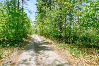 Opportunities abound with this lovely 15.8-acre parcel with over - photo 14