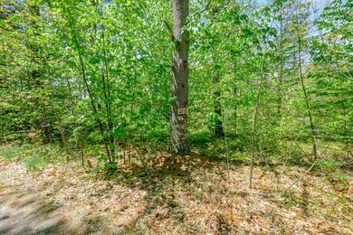 Opportunities abound with this lovely 15.8-acre parcel with over - photo 15