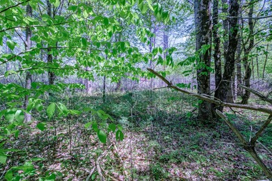 Opportunities abound with this lovely 15.8-acre parcel with over - photo 18