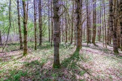 Opportunities abound with this lovely 15.8-acre parcel with over - photo 19