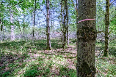 Opportunities abound with this lovely 15.8-acre parcel with over - photo 20