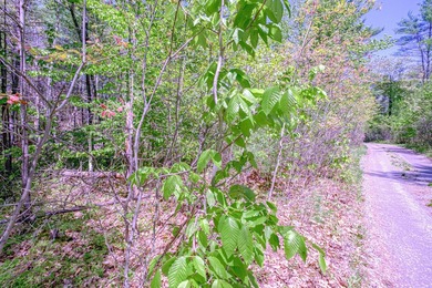 Opportunities abound with this lovely 15.8-acre parcel with over - photo 22
