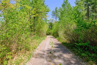 Opportunities abound with this lovely 15.8-acre parcel with over - photo 23